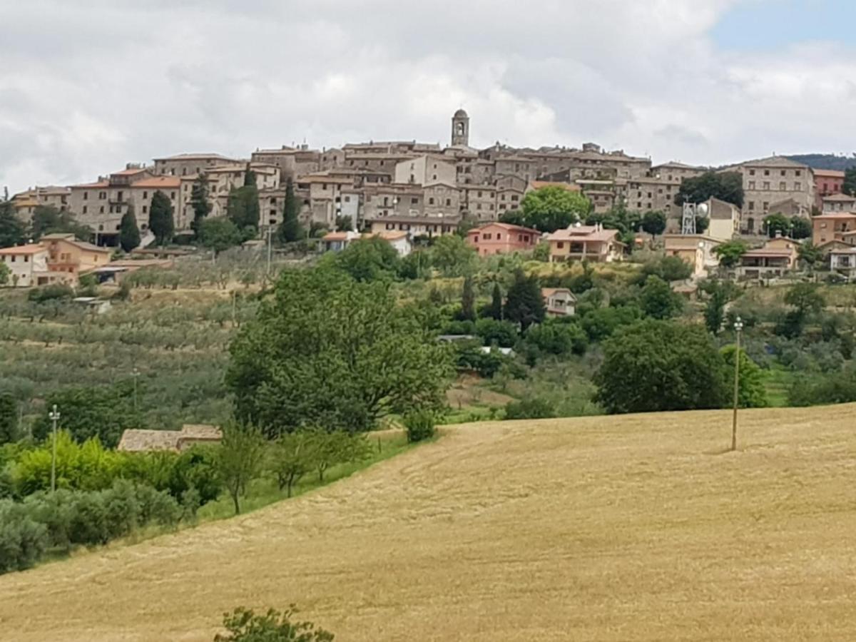 Al Ginepro Bed & Breakfast Montecchio  Exterior foto