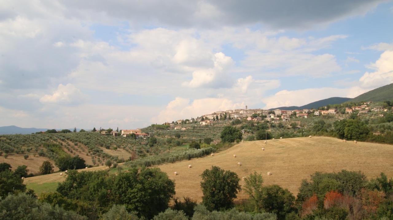 Al Ginepro Bed & Breakfast Montecchio  Exterior foto